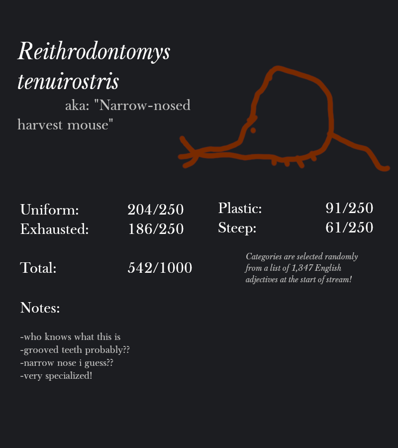 Reithrodontomys tenuirostris